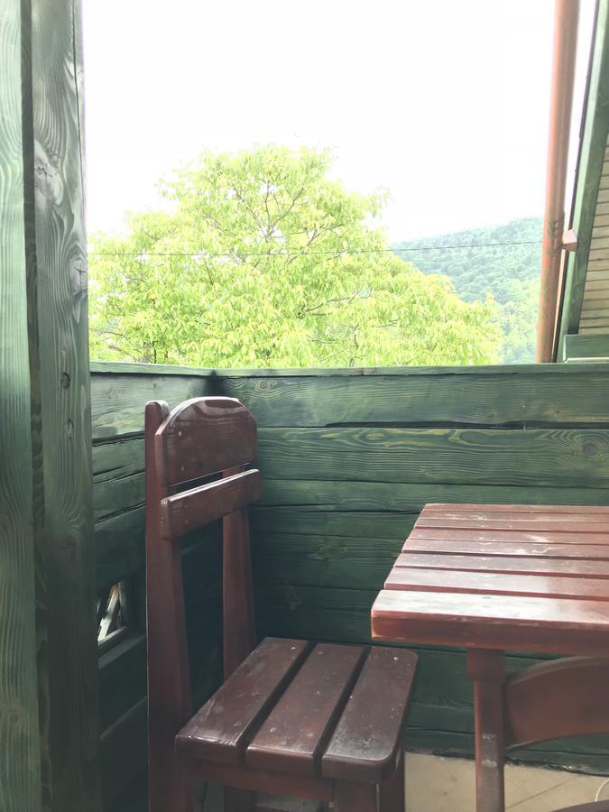 Cottage Shchaslyvyi Яремча Экстерьер фото